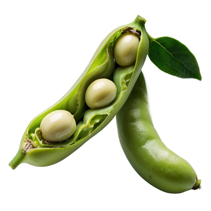 Fava Beans Png Iuf
