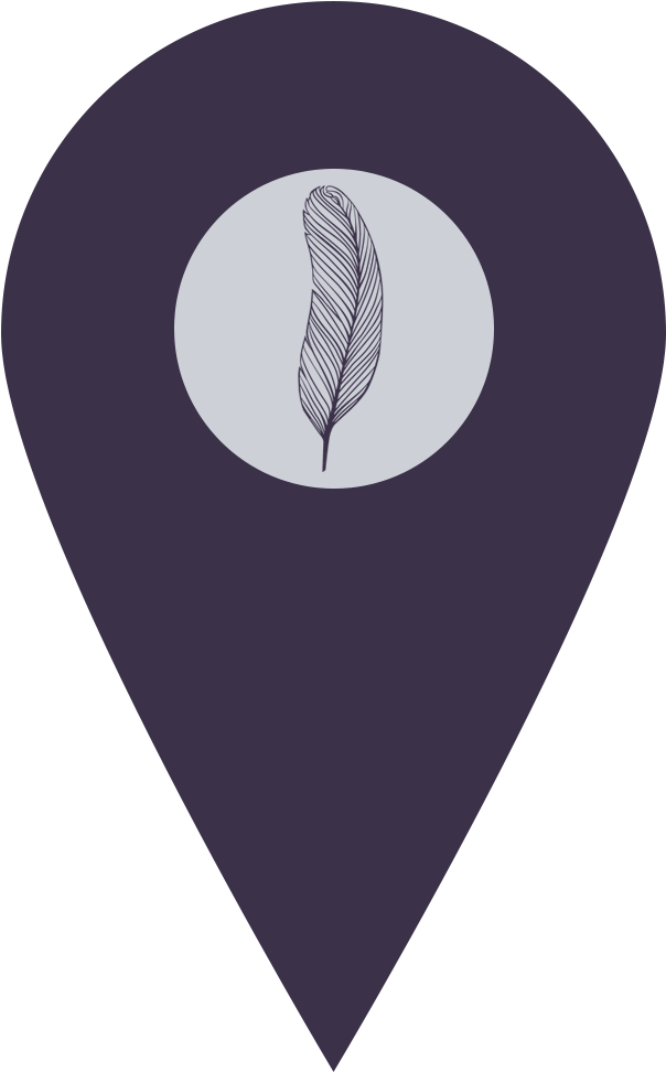 Feather Icon Map Pin