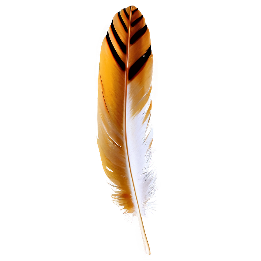 Feather On Vintage Paper Png 28