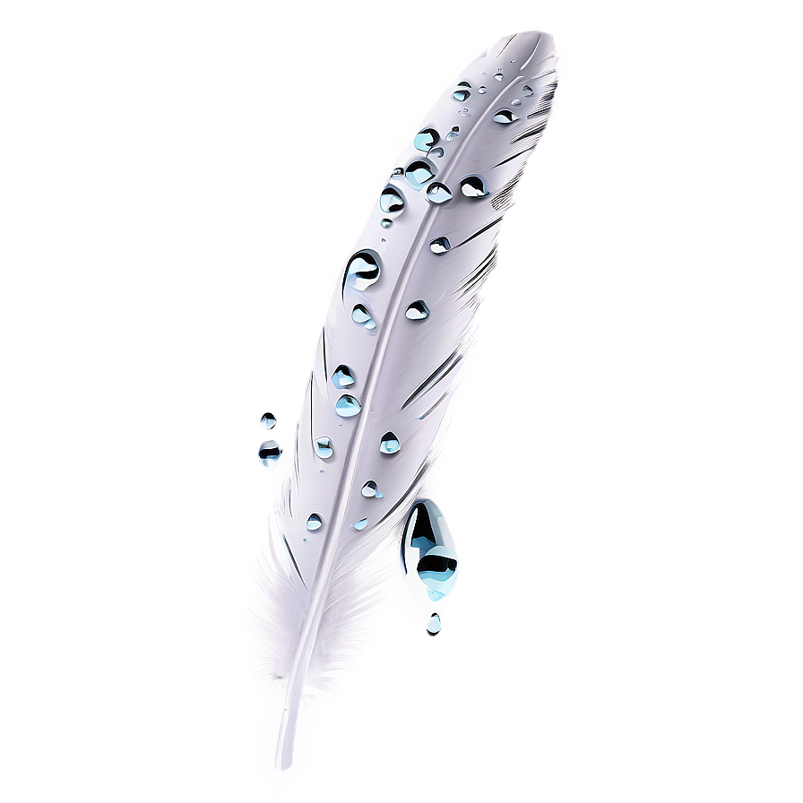 Feather With Dew Drops Png 05042024