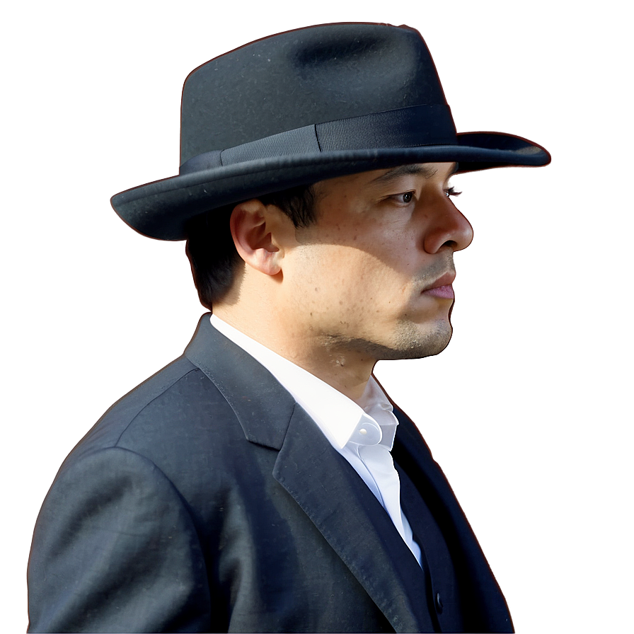 Fedora Side View Png 05252024
