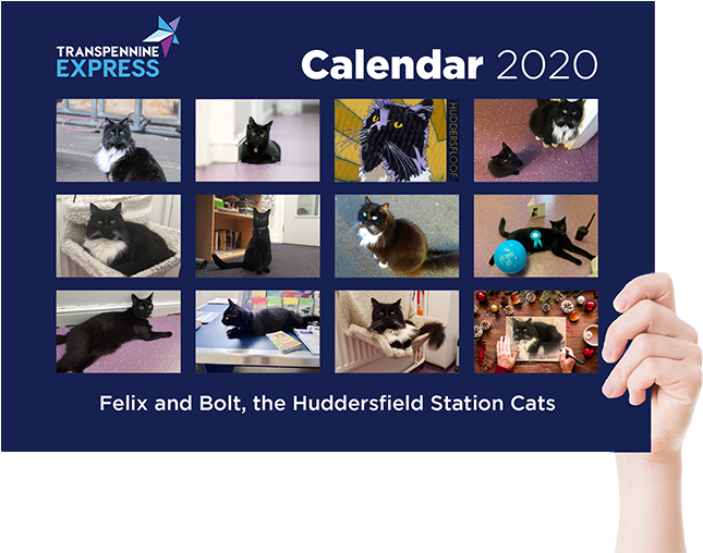 Felixand Bolt2020 Calendar