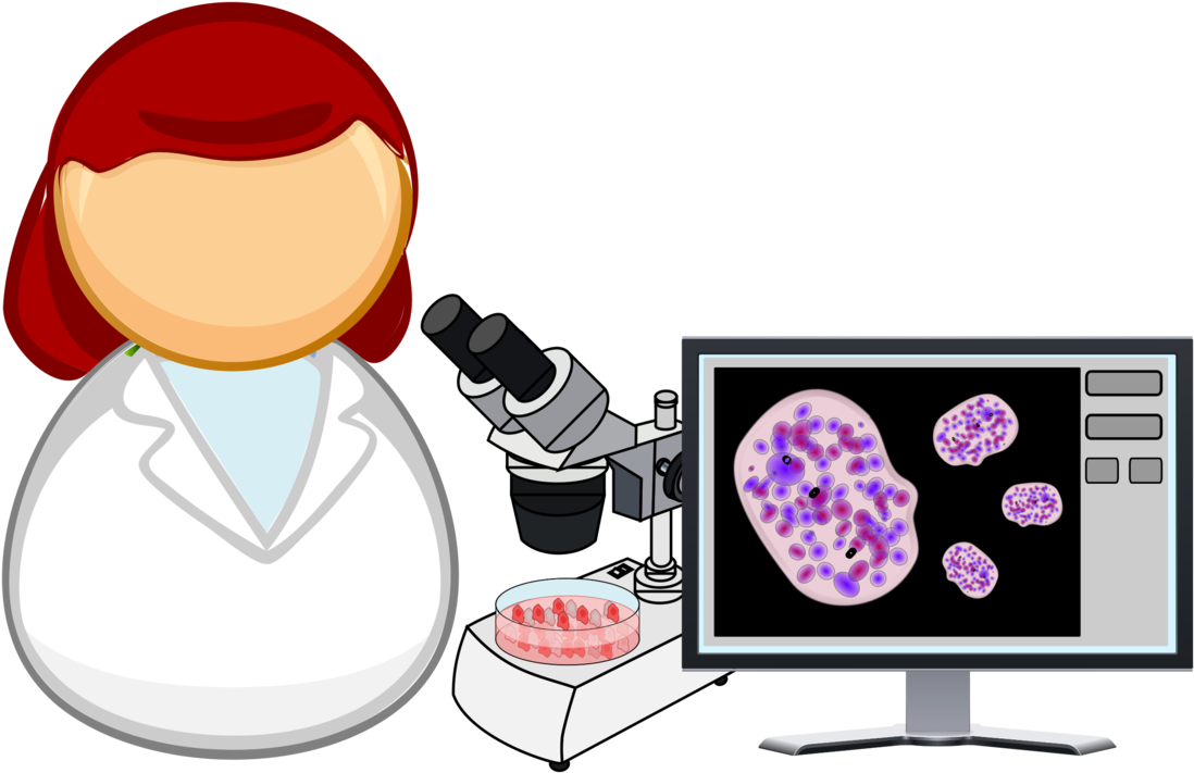 Female Scientist Analyzing Cells