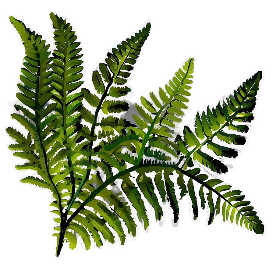 Fern Leaf Outline Png Mbu24