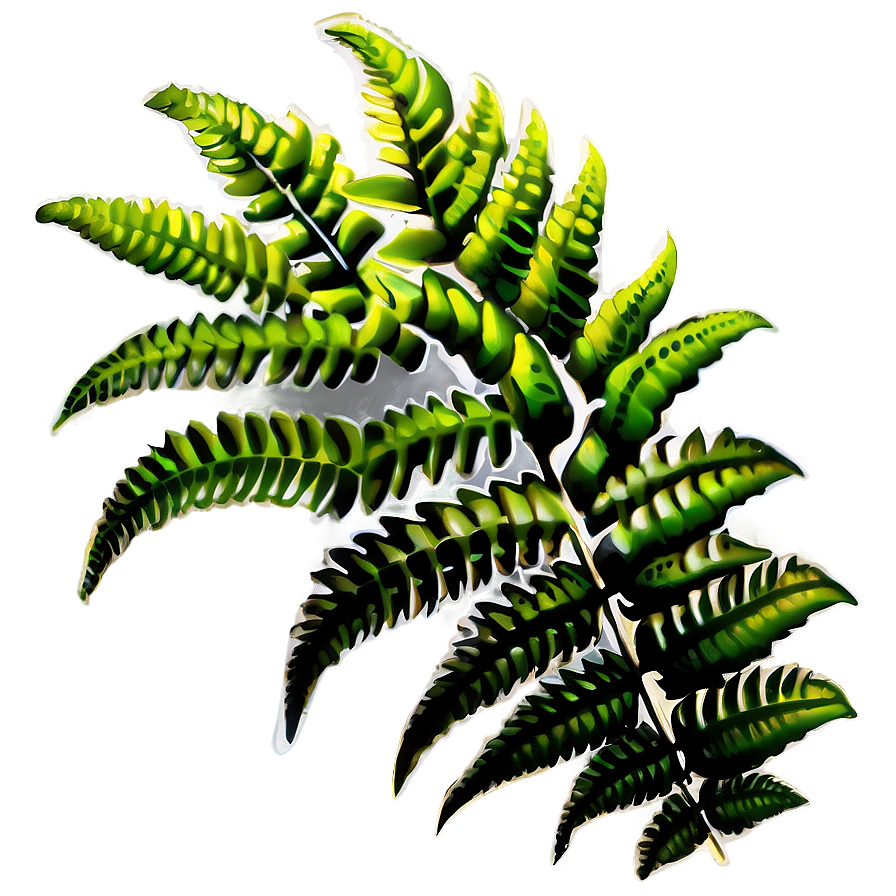 Ferns Plants Png 87