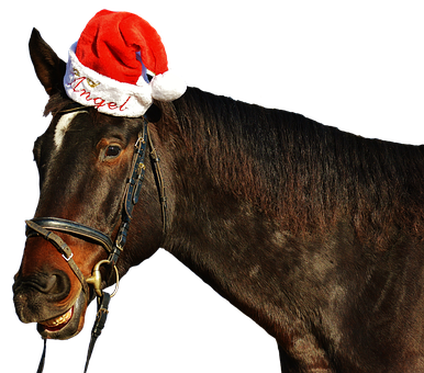 Festive Horse Wearing Santa Hat