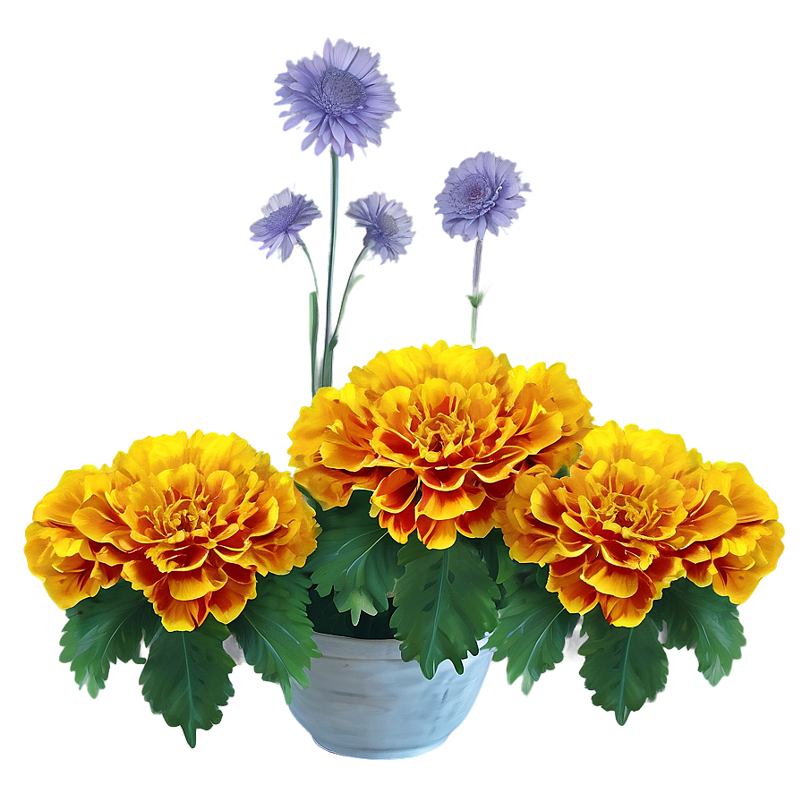 Festive Marigolds Png Ann