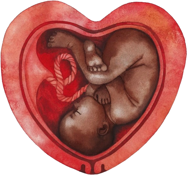 Fetal_ Embrace_in_ Heart_ Shaped_ Womb