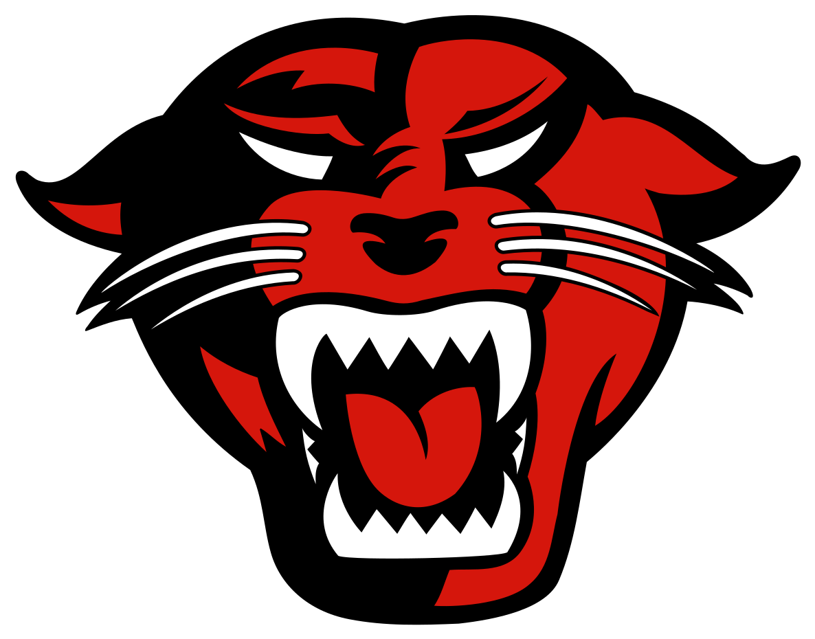 Fierce_ Panther_ Football_ Logo