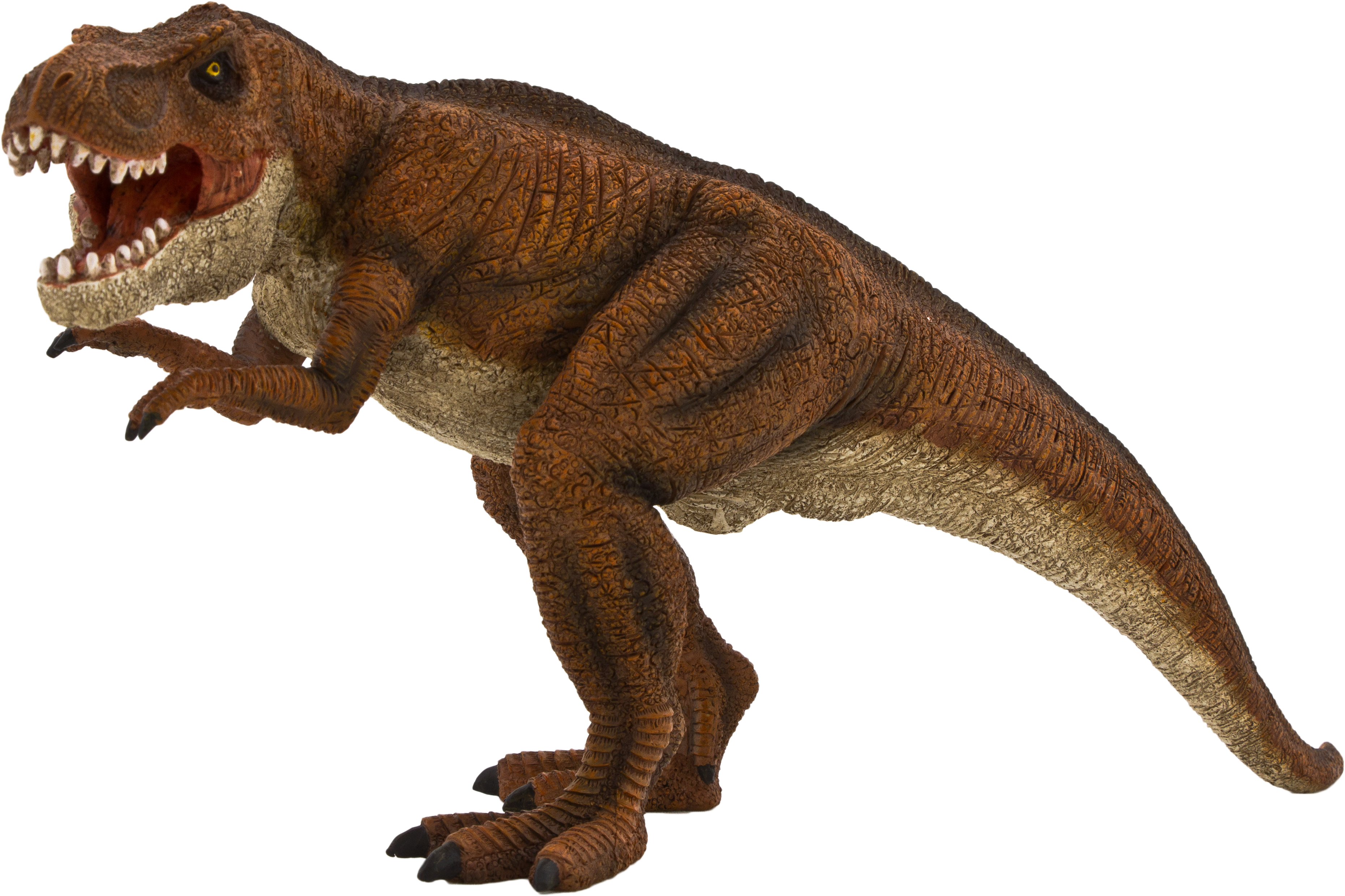 Fierce Tyrannosaurus Rex P N G