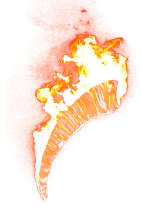 Fiery Shell Art Effect