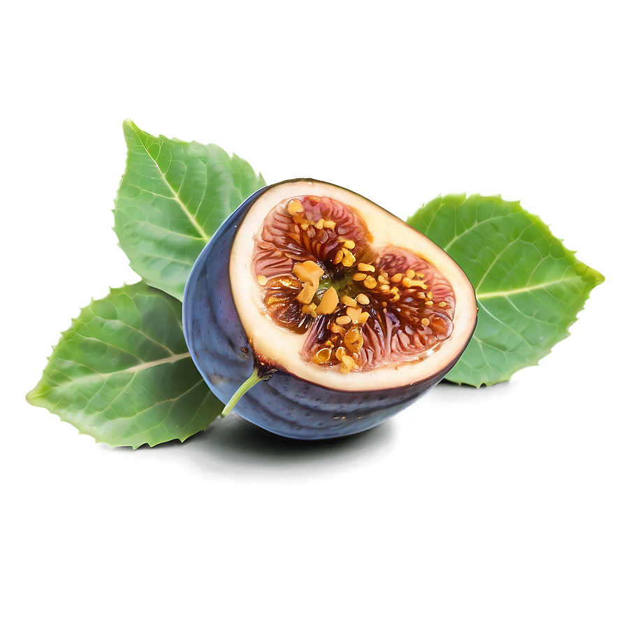 Figs And Honey Png Fhi35