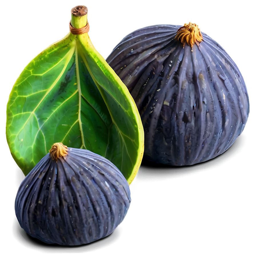 Figs Harvest Basket Png Ajd40