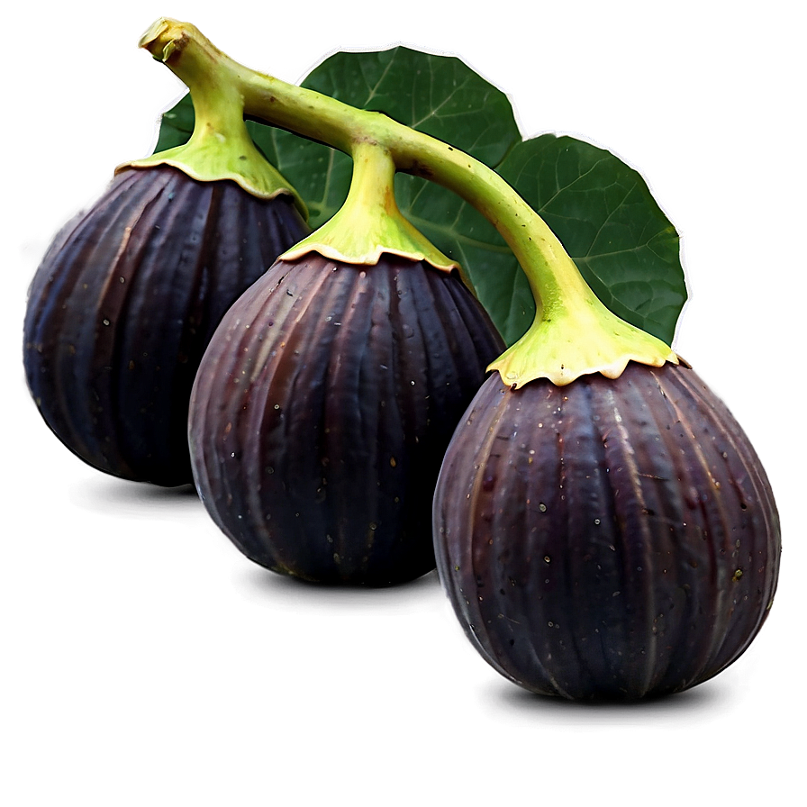 Figs On Vine Png 89