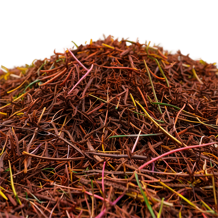 Fine Pine Needle Mulch Png Lri