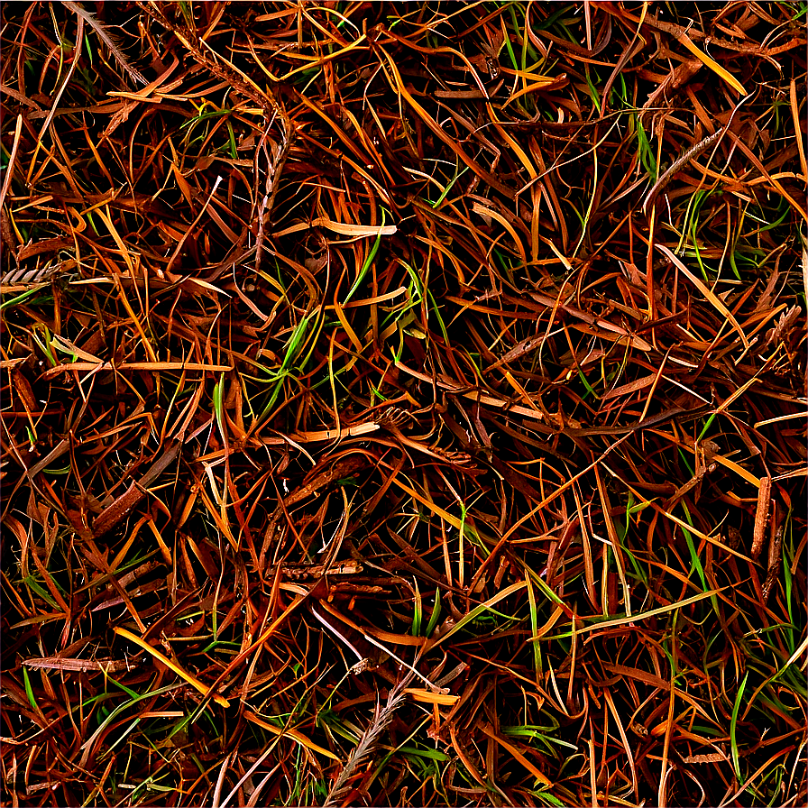 Fine Pine Needle Mulch Png Xaf