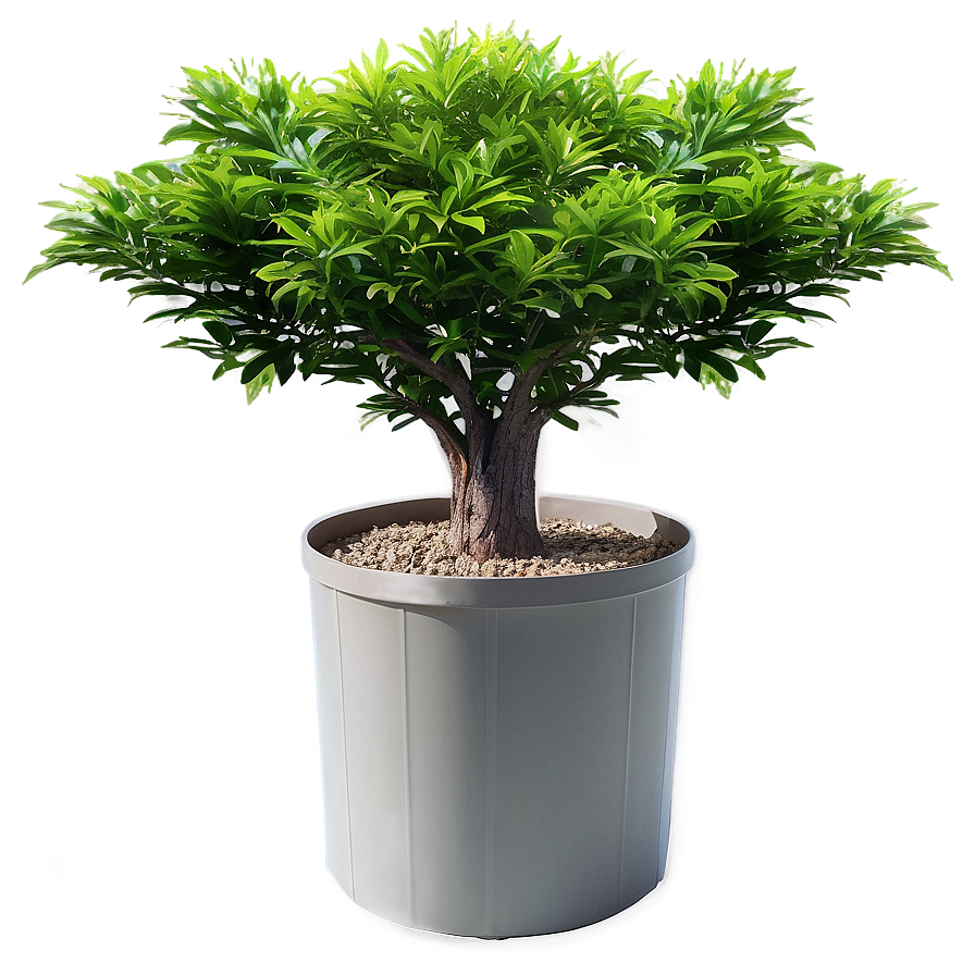 Fire-resistant Bush Png Leg80