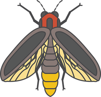 Firefly_ Illustration_ Vector