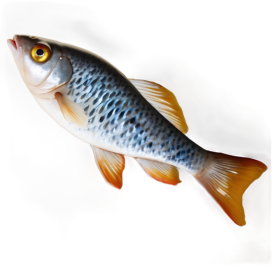 Fish Icon Transparent Png 20