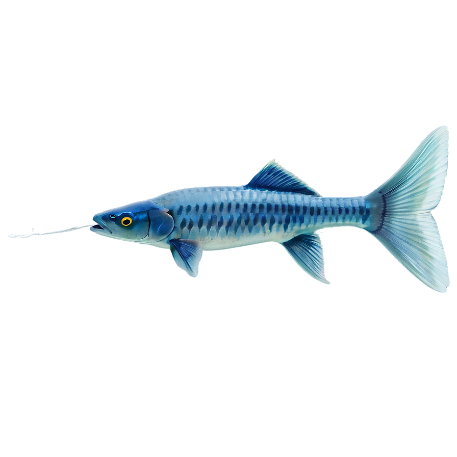 Fish Tail Transparent Png 05262024