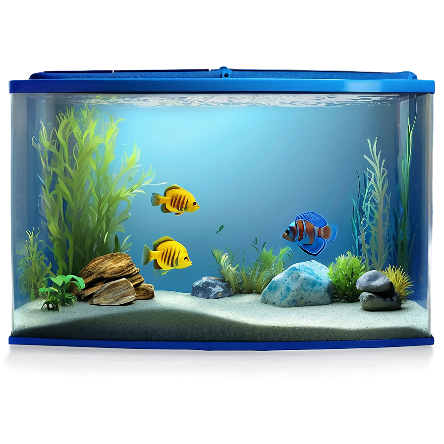 Fish Tank Background Png 06122024