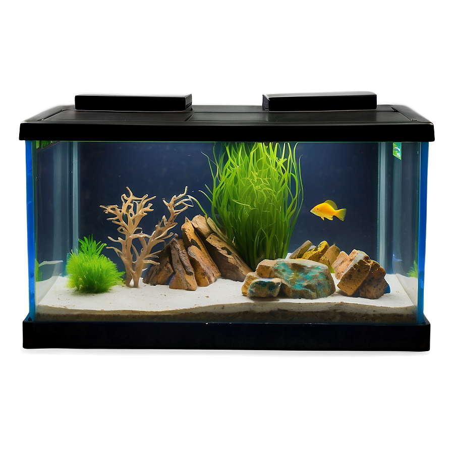 Fish Tank Furniture Png 06122024