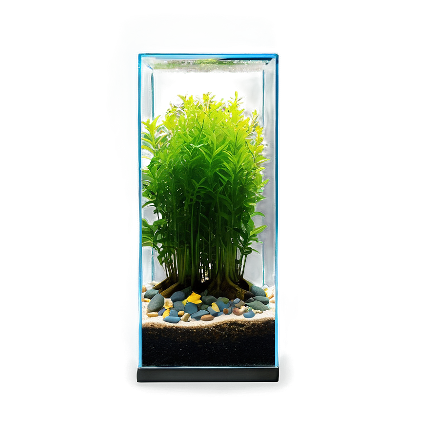 Fish Tank Plants Png 06122024