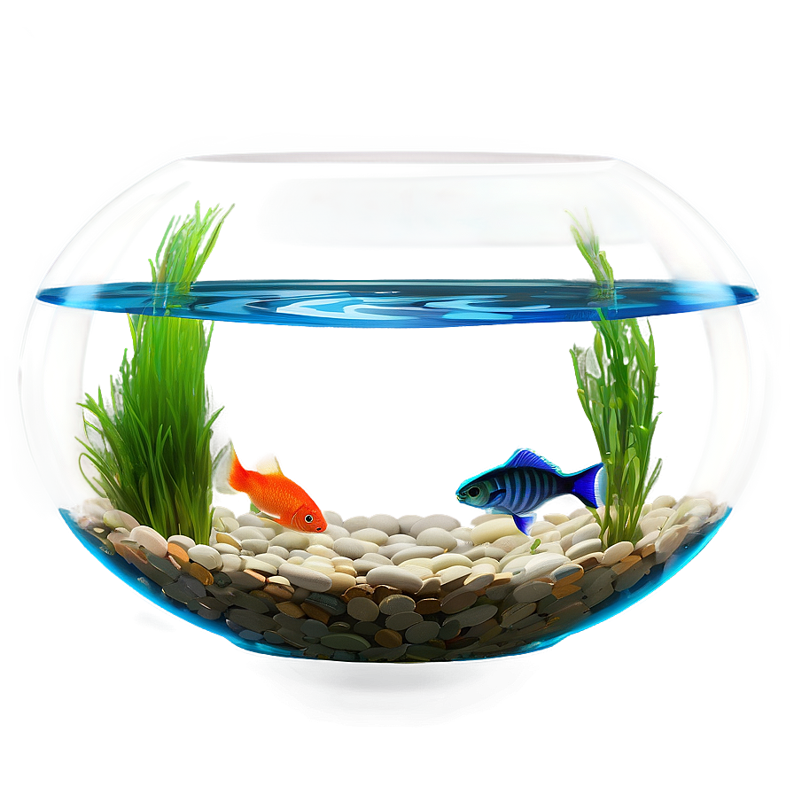 Fishbowl With Led Light Png 25