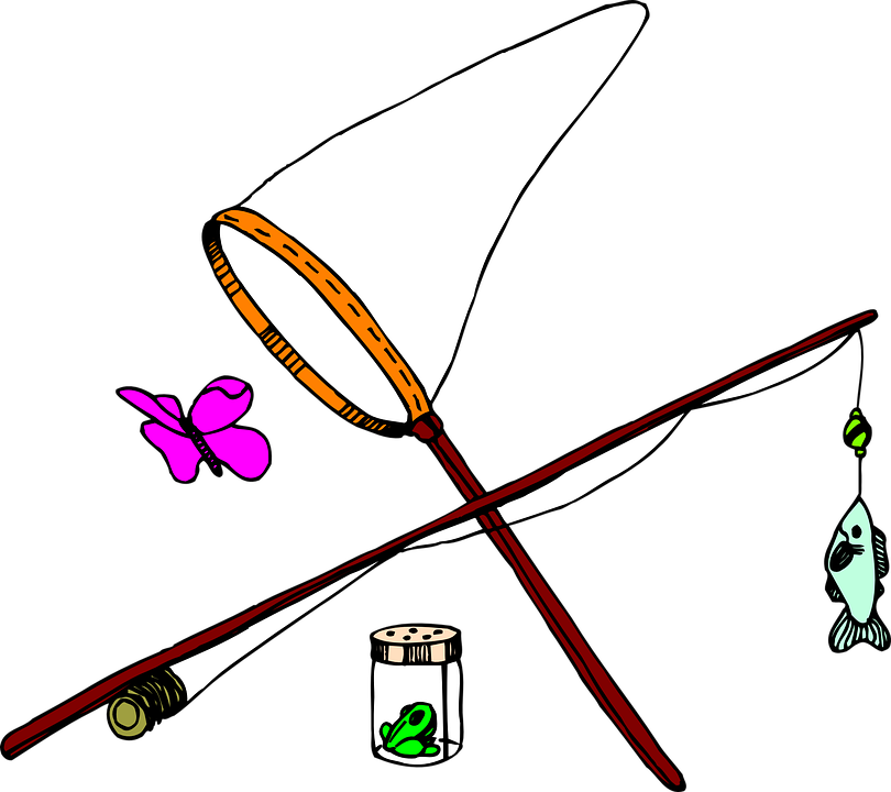 Fishing Equipment Illustration