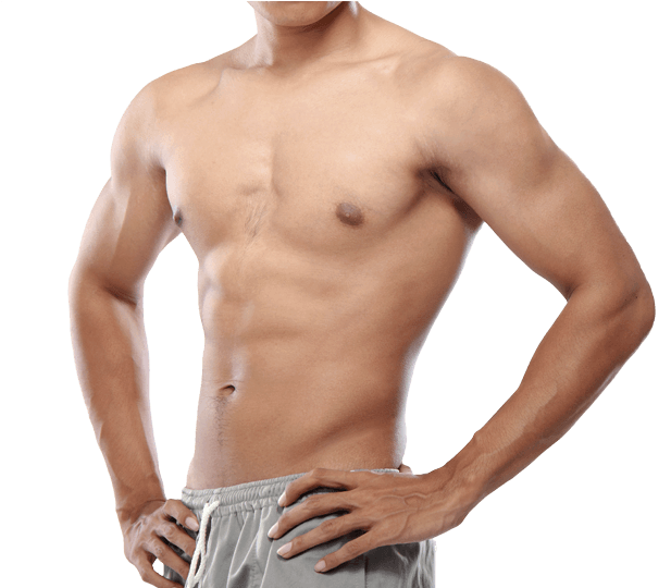 Fit Male Torso Showing Abs