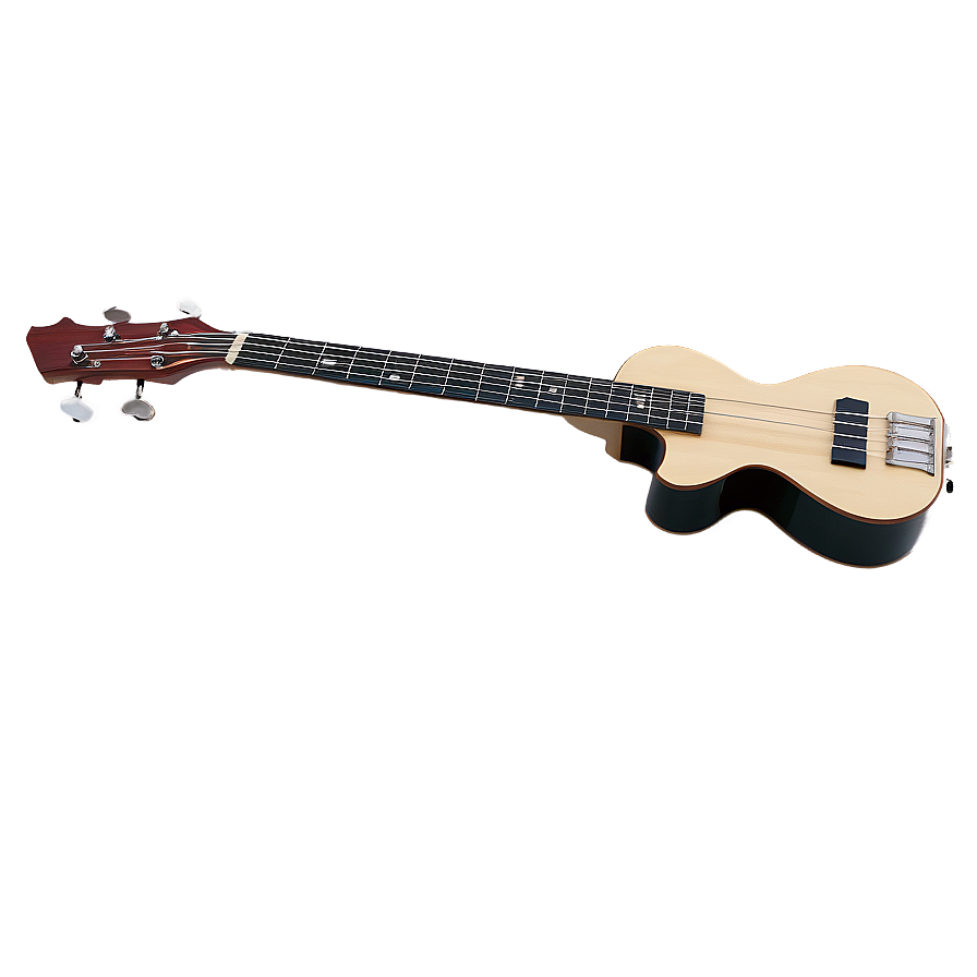 Flamenco Bass Guitar Png 58