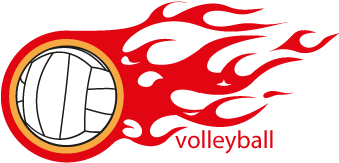 Flaming Volleyball Logo