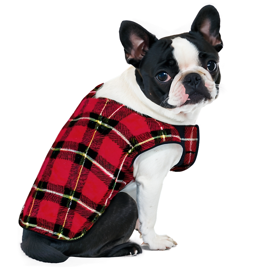 Flannel Dog Coat Png Vsj