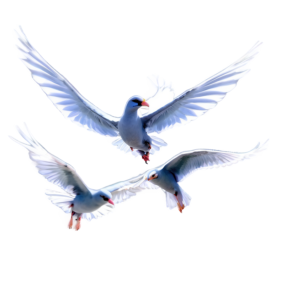 Flock Of Birds Flying Together Png Qvj