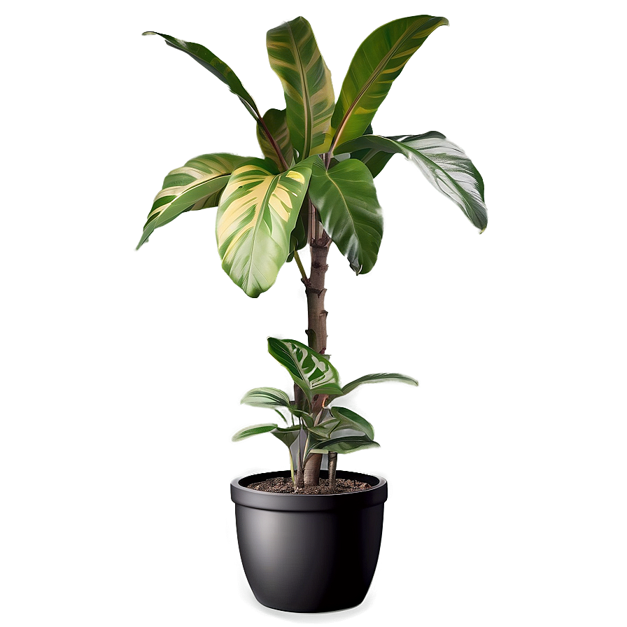 Floor Plant Design Png 06282024