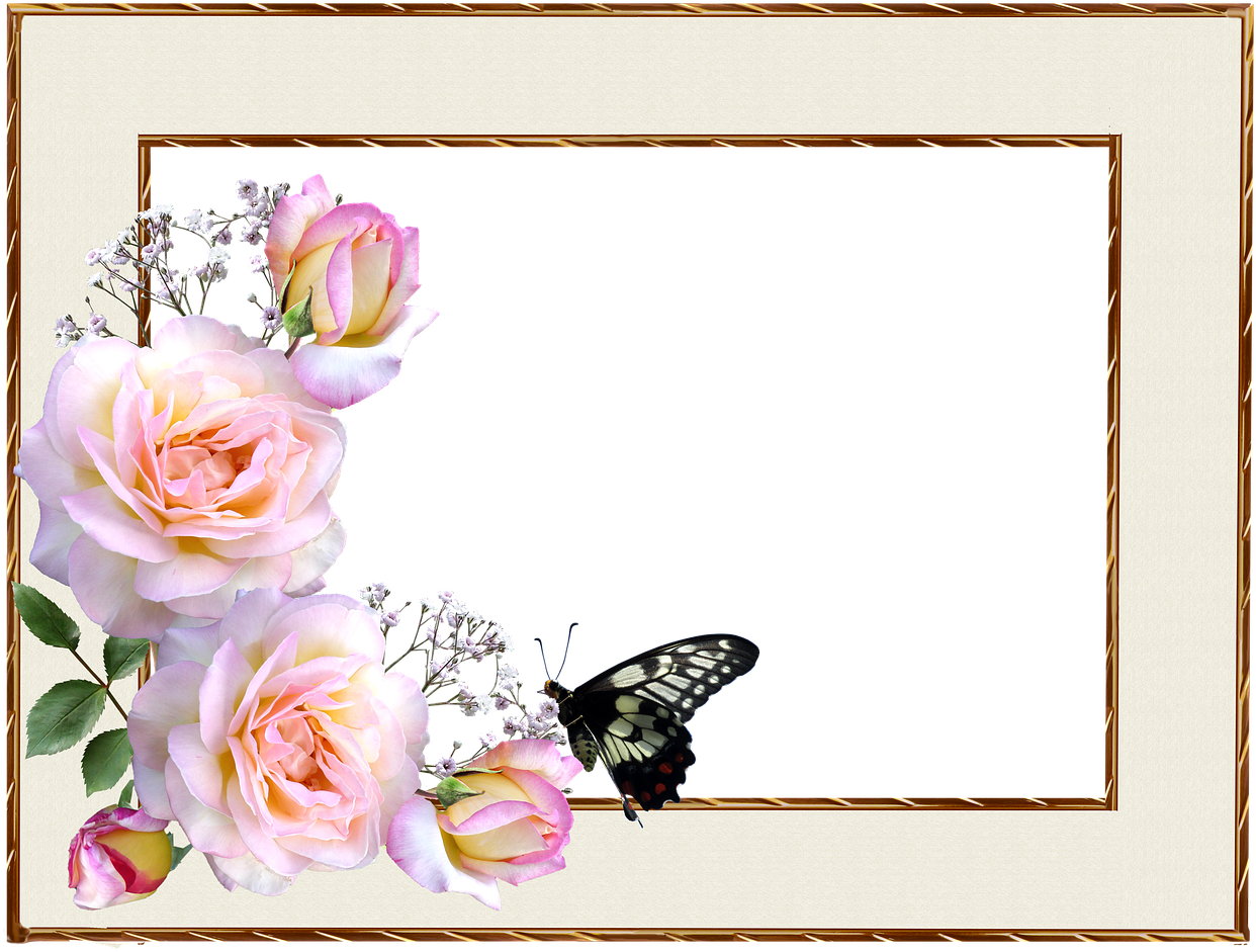 Floral_ Border_ Design_with_ Butterfly
