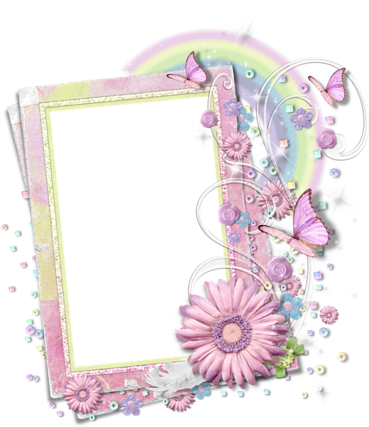 Floral Butterfly Frame P N G