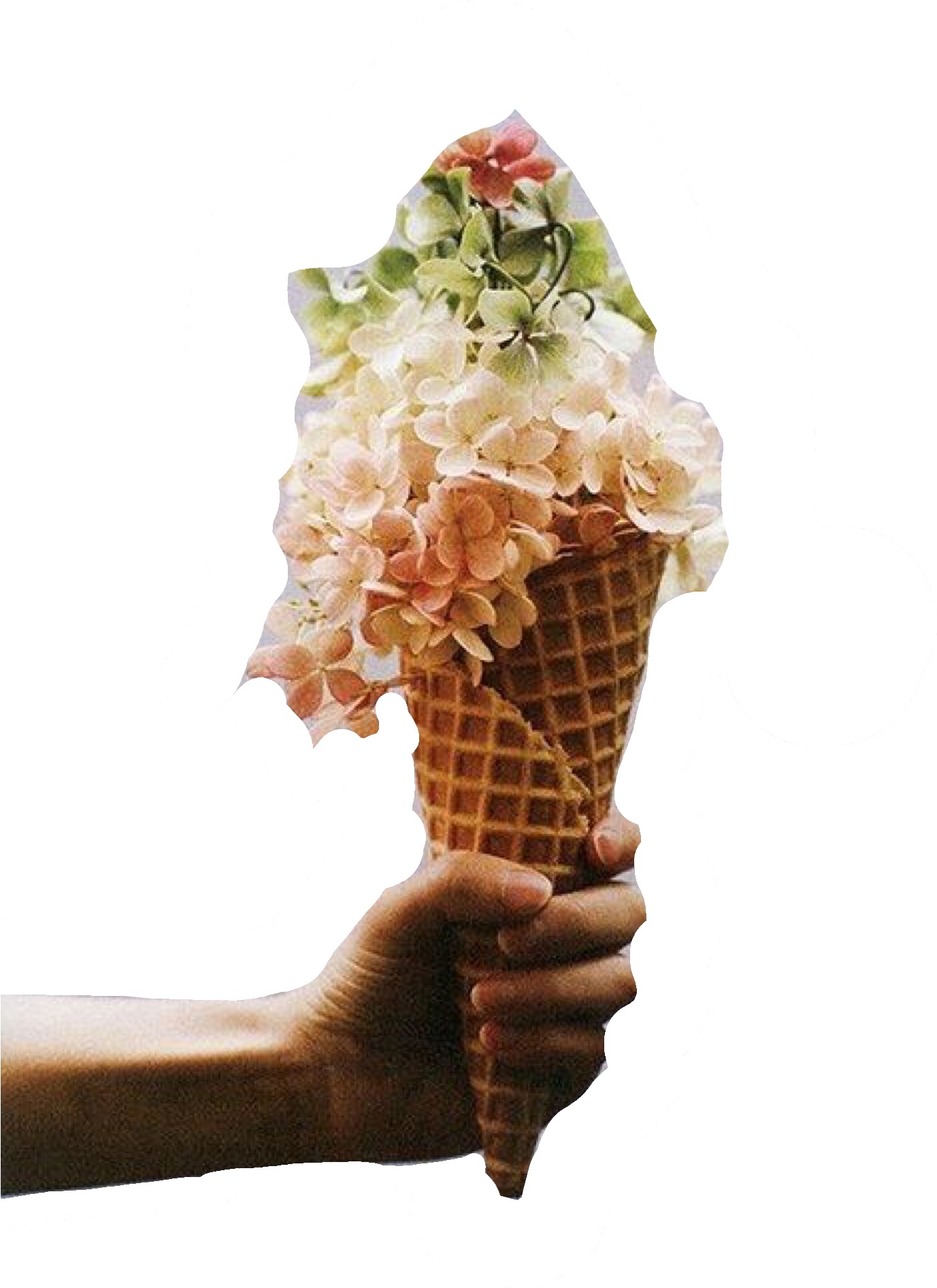 Floral Cone Surrealism.png