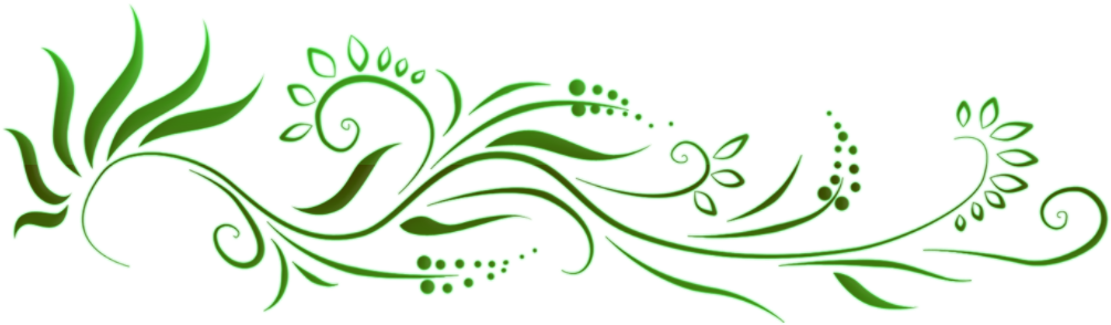 Floral Green Border Design