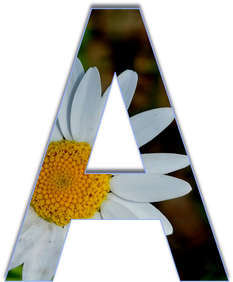 Floral Letter A Design