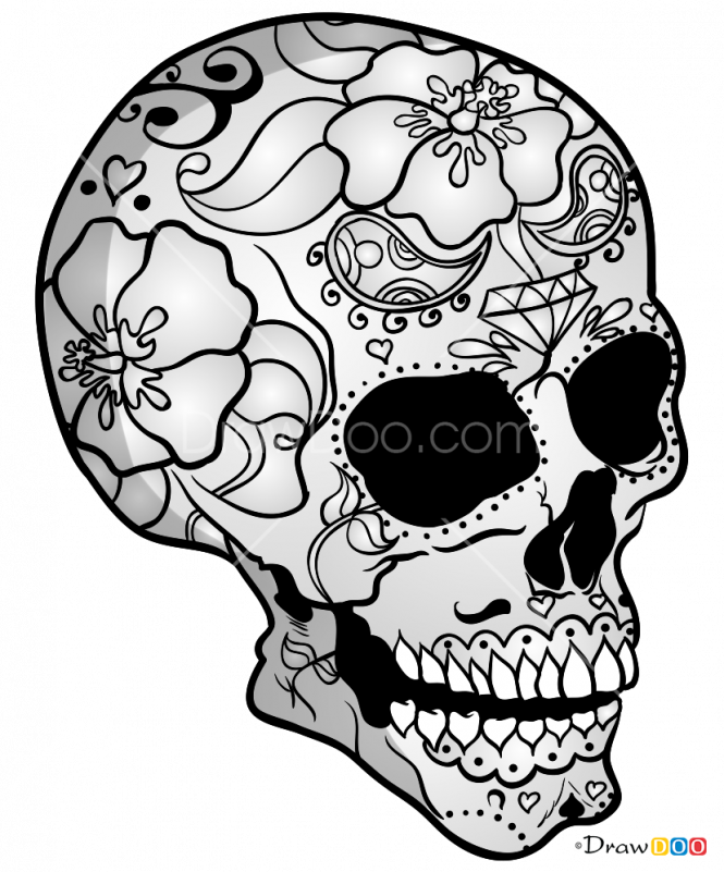 Floral Patterned Skull Drawing