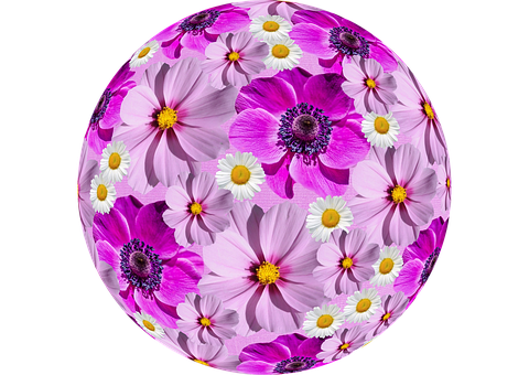 Floral_ Sphere_ Artwork