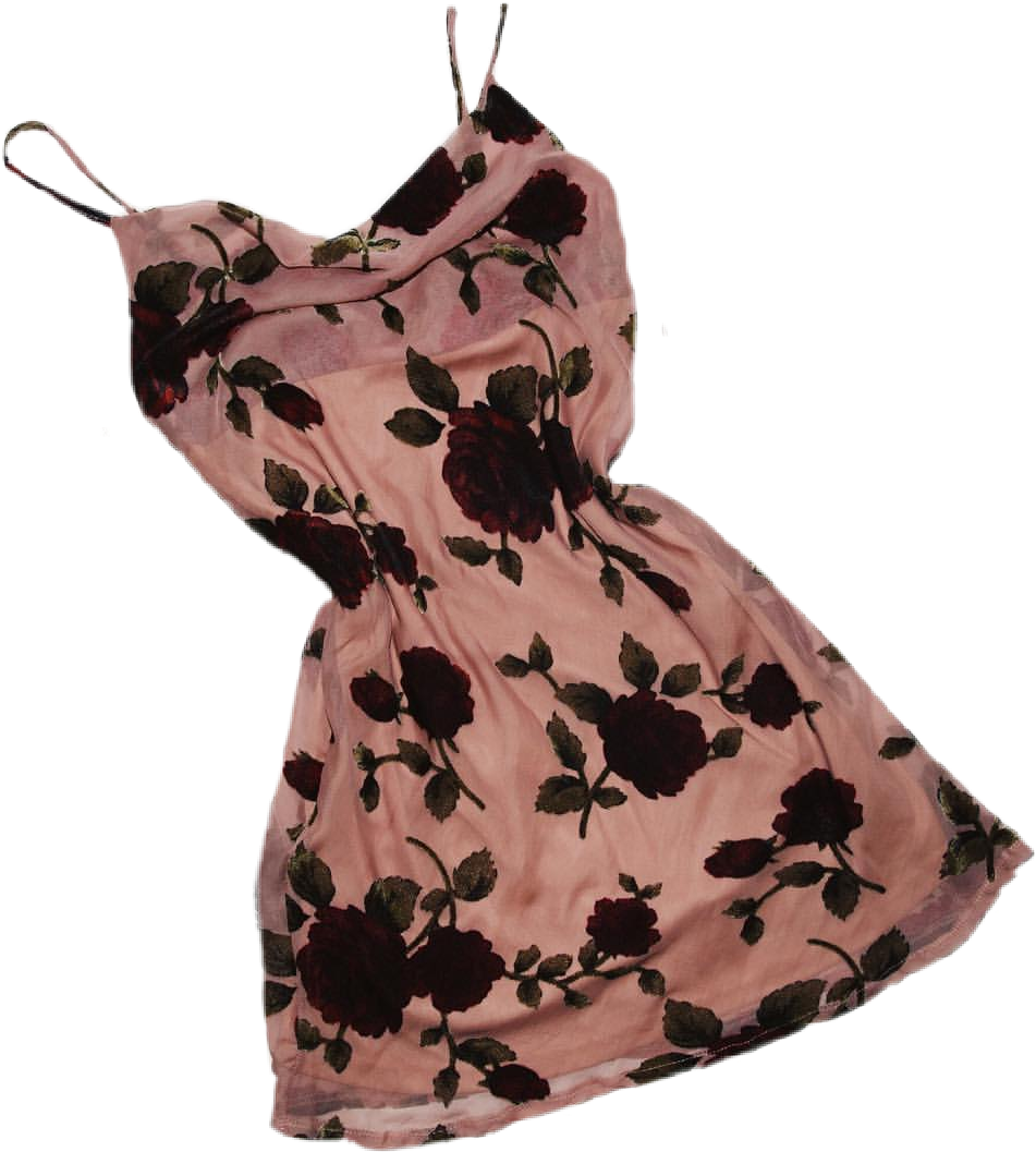 Floral Summer Dress Pink Background