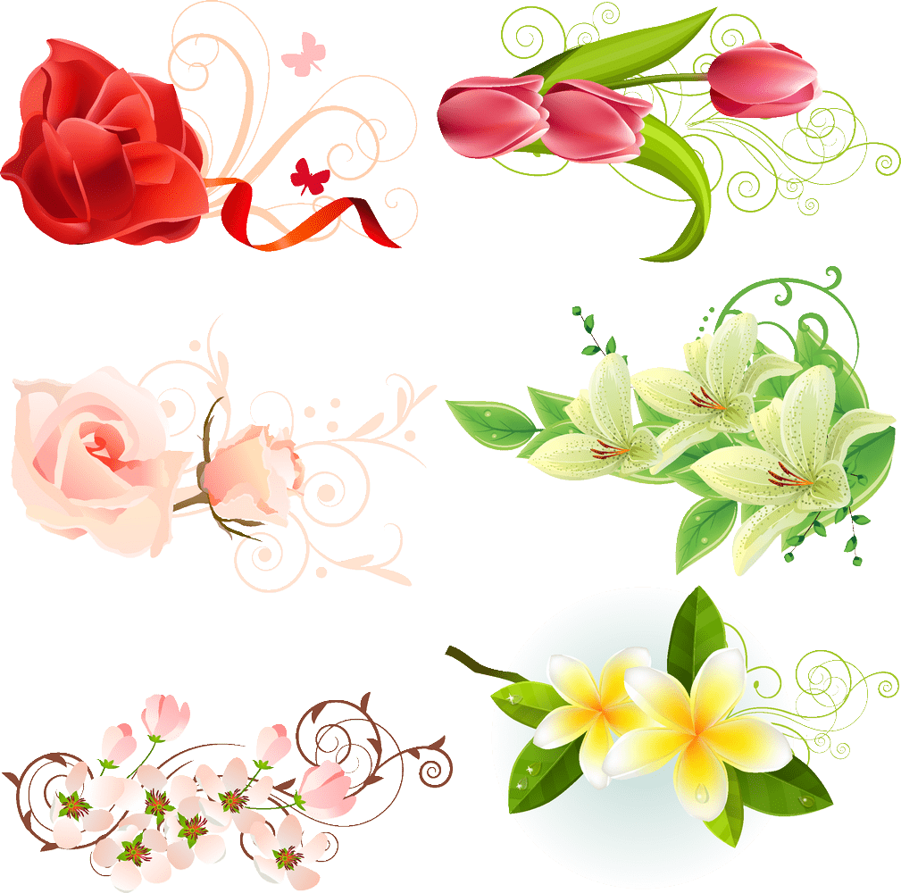 Floral_ Vector_ Collection.png