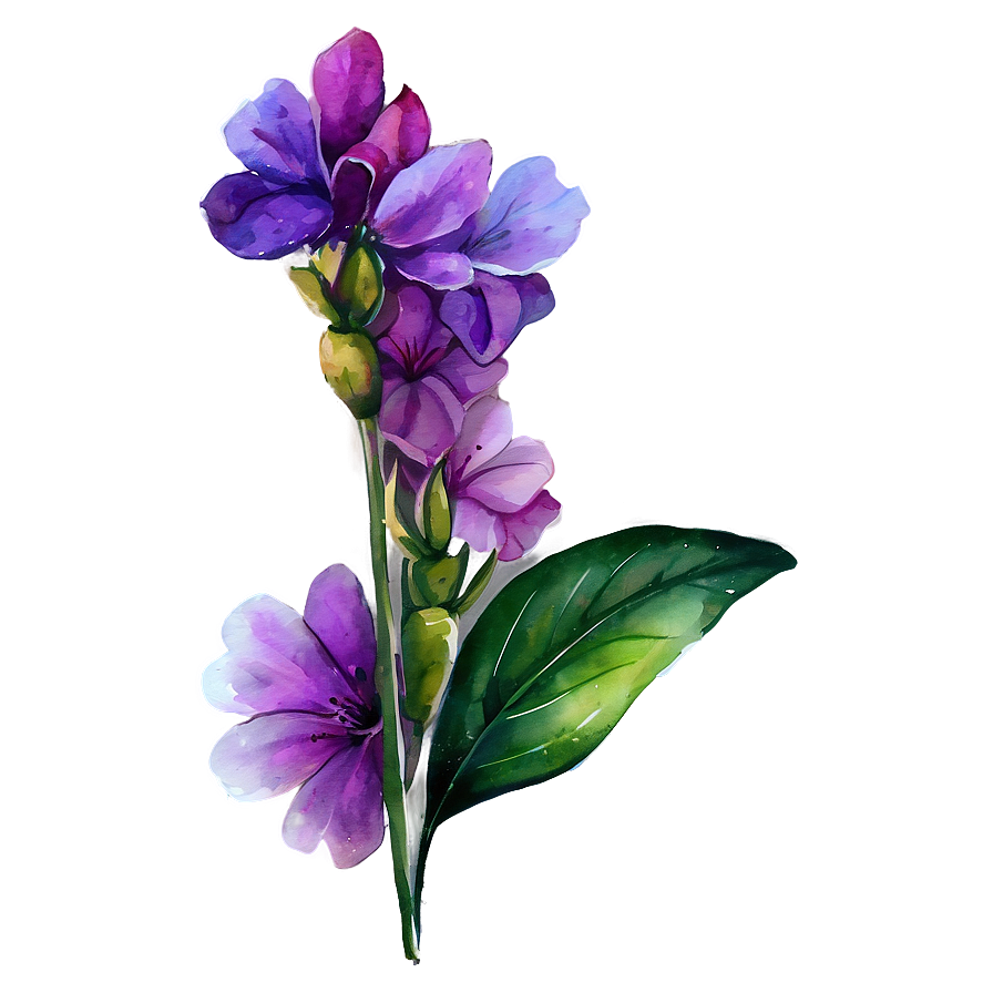 Floral Watercolor Png 04292024