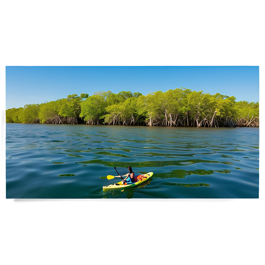 Florida Mangroves Kayaking Png 2