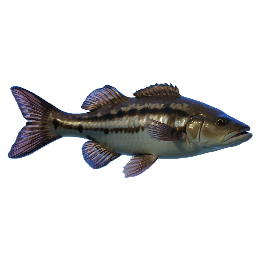 Florida State Aquatic Life Png Smp