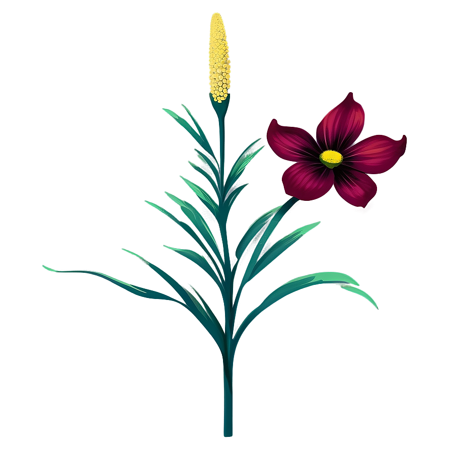 Florida State Flower Png Akr