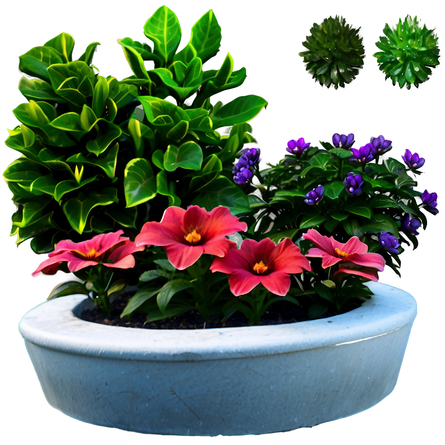 Flower Bed Plants Png 05042024