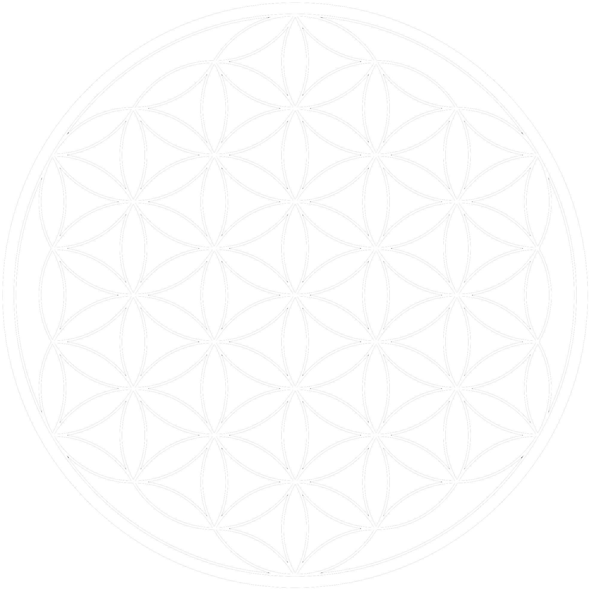 Flower Of Life_ Sacred Geometry.png